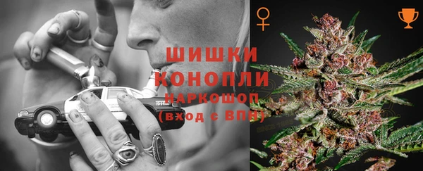 амф Куровское