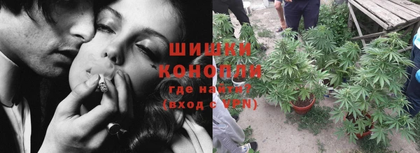 амф Куровское
